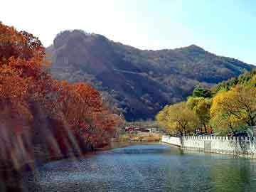 新澳天天开奖资料大全旅游团，夏河seo快速排名软件